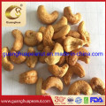 Roasted Cashew Nuts Ww320 with Best Taste